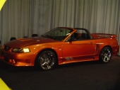 MUSTANG_SALEEN.JPG